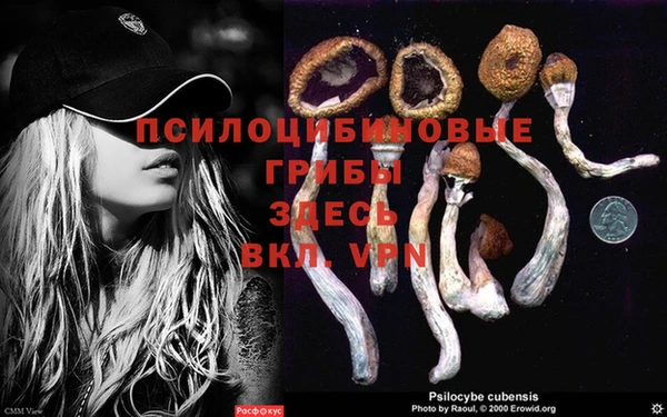 мет Семилуки